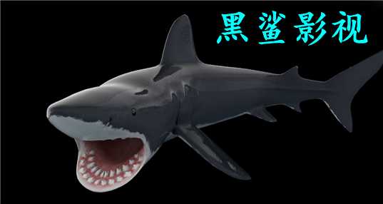 黑鲨影视