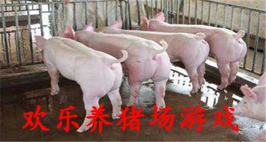 欢乐养猪场