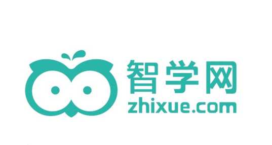 智学网查分