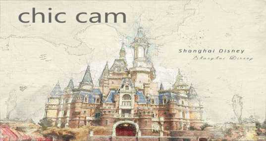 chiccam