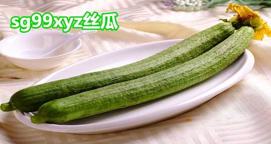 sg99xyz丝瓜