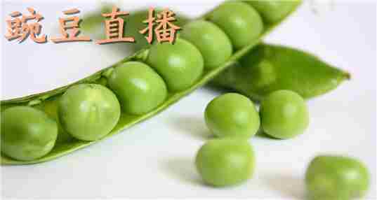 豌豆直播