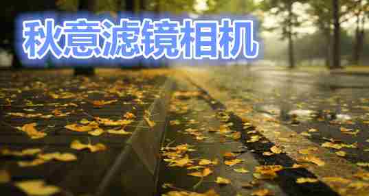 秋意滤镜相机