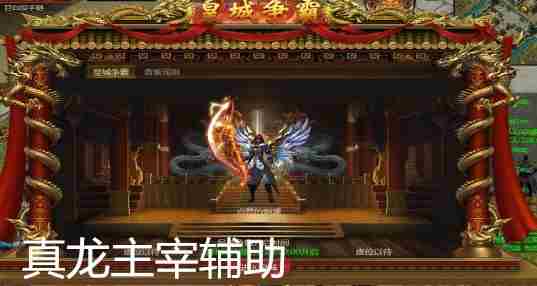 真龙主宰辅助