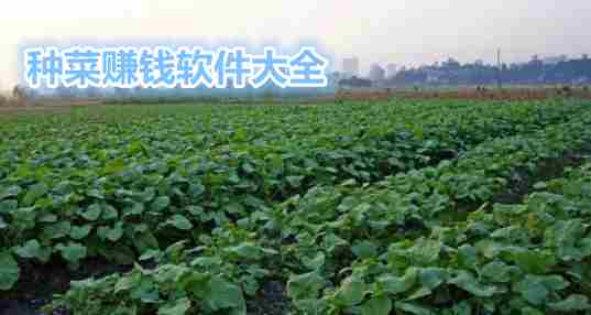 种菜赚钱软件