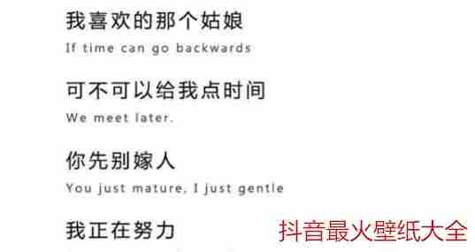 2019抖音最火壁纸大全