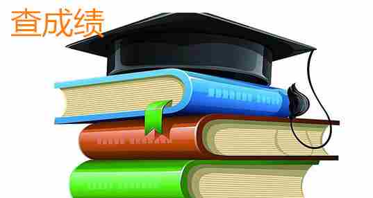 查分数