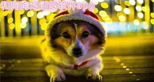 和狗狗对话的软件app