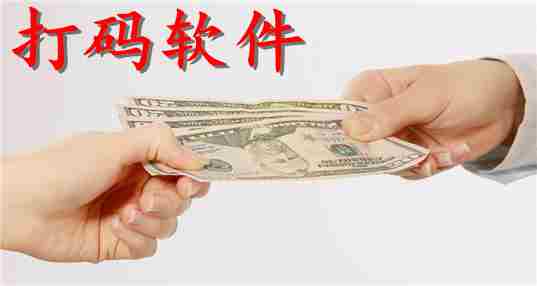 打码软件