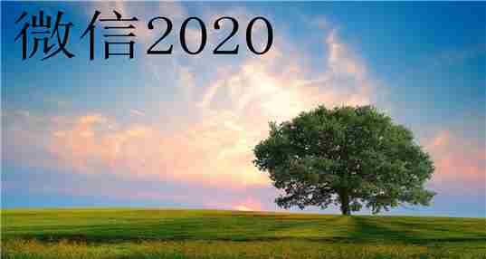 微信2020