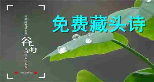 免费藏头诗