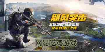网易吃鸡游戏