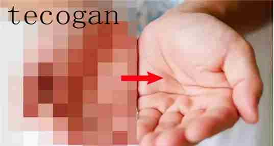 tecogan