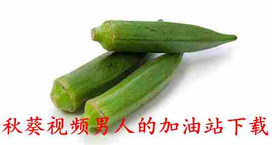 2020秋葵视频