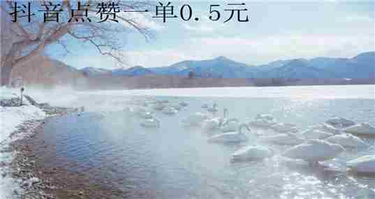 抖音点赞一单0.5元