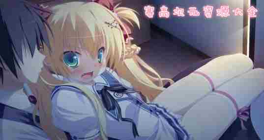 赛高次元游戏大全