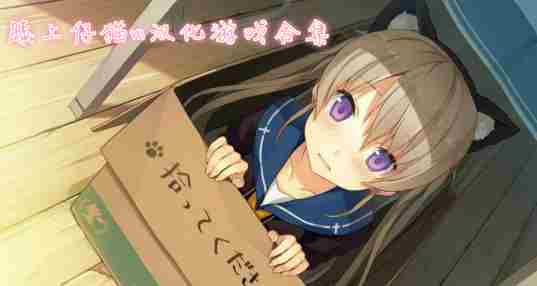 膝上仔猫m游戏大全