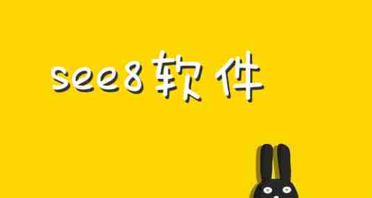 see8软件