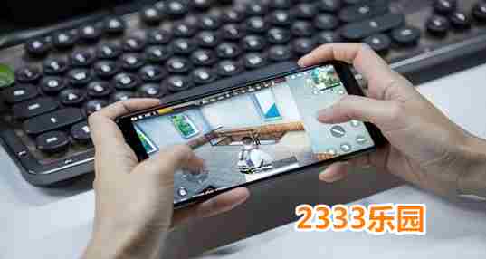 2333乐园