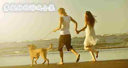 养宠物的游戏合集