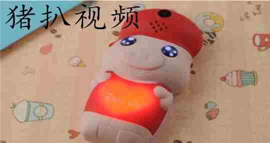 猪扒视频
