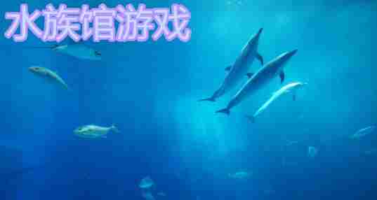 水族馆游戏