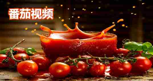 番茄视频