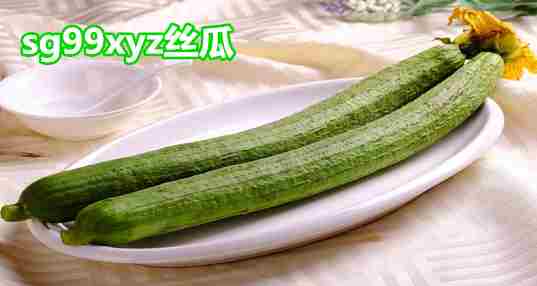 sg99xyz丝瓜