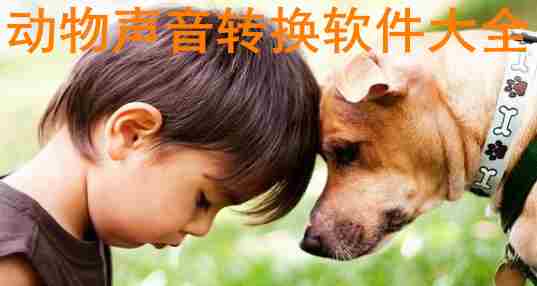 动物声音转换器
