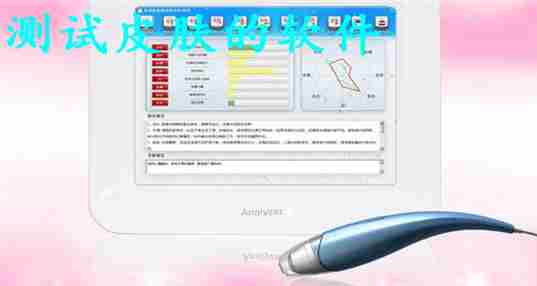 测试皮肤的软件