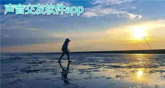 声音社交