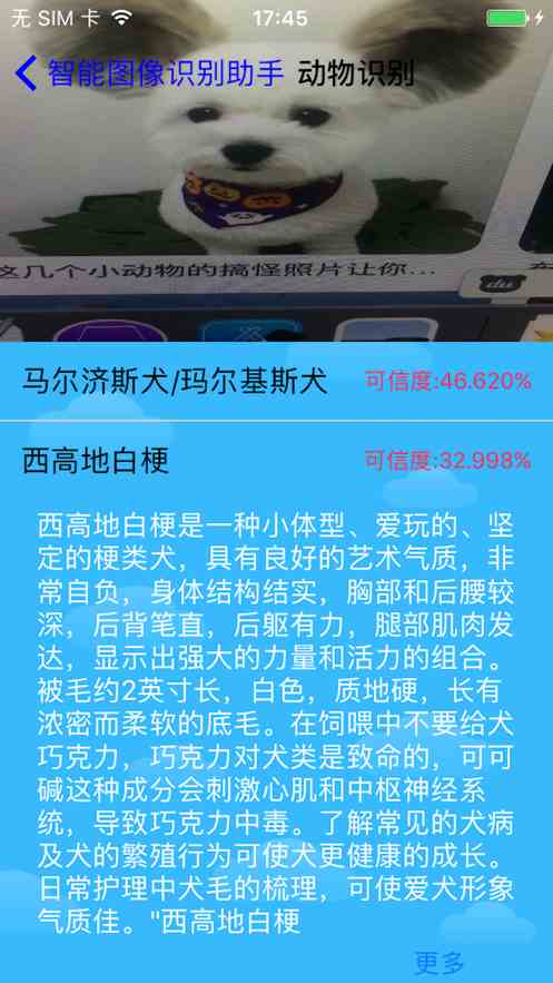 小蝌蚪榴莲丝瓜秋葵樱桃视频ios