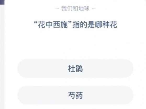 蚂蚁庄园花中西施_蚂蚁庄园今天答题答案