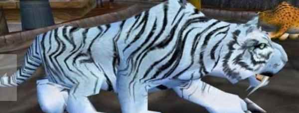 魔兽世界怀旧服邦加拉什刷新时间多久?邦加拉什坐标[多图]_魔兽怀旧服邦加拉什属性