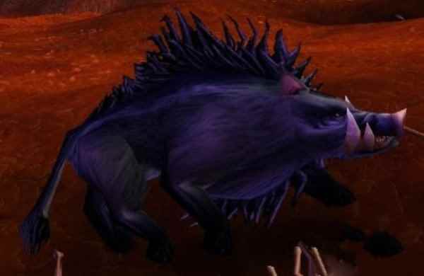 魔兽世界怀旧服稀有猪宝宝在哪_魔兽世界怀旧服猎人抓哪个猪好