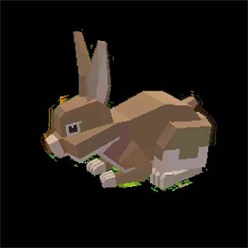 《手工星球》星球生物图鉴 治愈被气温冰冻的心