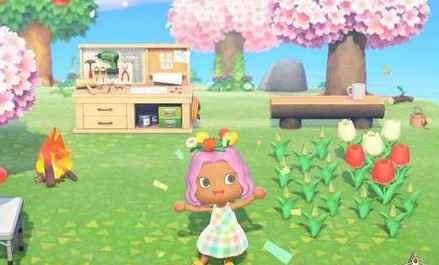 《集合啦动物森友会》蓝玫瑰杂交方法