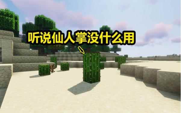 我的世界:MC关于仙人掌的4种用途_仙人掌有什么用处有什么功能