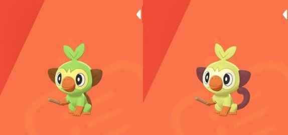 宝可梦剑盾闪光精灵怎么抓_剑盾闪光精灵怎么分辨