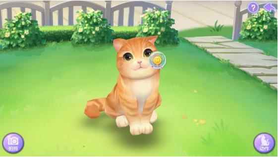 萌宠猫咪互动!《喵与筑》猫咪养成全攻略进阶篇_喵呜喵