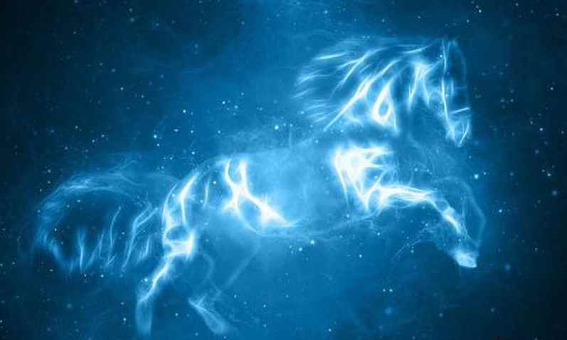 哈利波特魔法觉醒守护神如何选择_哈利波特魔法觉醒公测