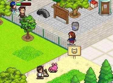 发现动物公园落叶怎么得_不会落叶