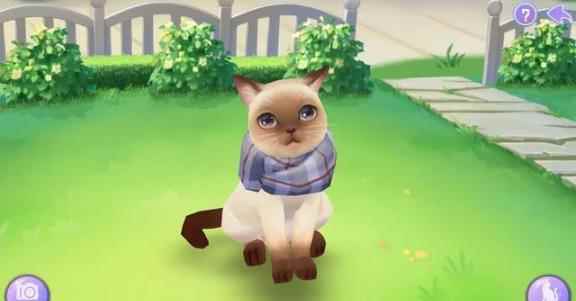 盘点《喵与筑》中让人难以拒绝的猫咪_喵与筑内购