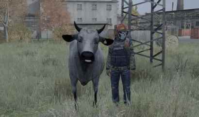 《DayZ》新手生存手册 DayZ新手常见问题一览