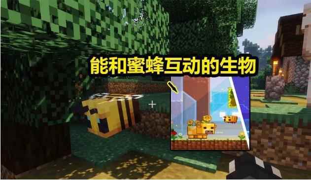 我的世界：冒险玩家最爱生物投票3选1