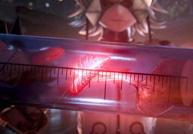 少前2追放游戏玩法技巧攻略