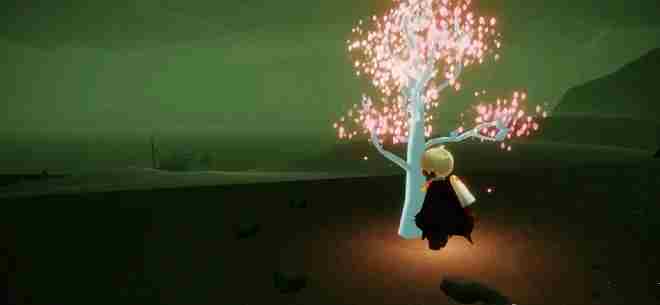 光遇墓土赏花在哪里