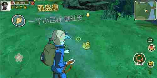 小森生活金色羽毛有什么用 金色鸡产出材料作用详解