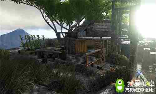 这是自由的感觉方舟:生存进化释放你的想象力