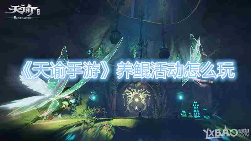 天谕手游养鲲活动内容分享